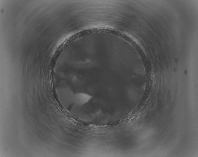 X0000066120823200603101233