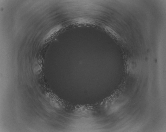 X0000066120824200603101233