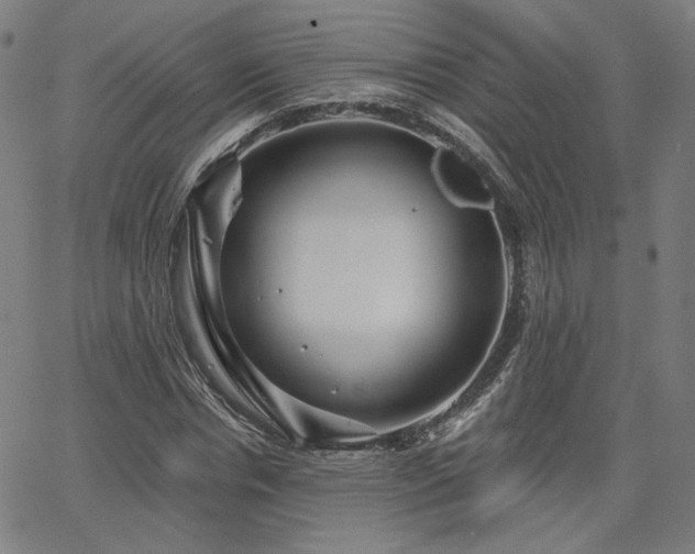 X0000066120826200603101233