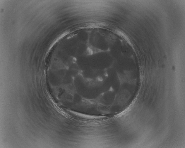 X0000066120827200603101233