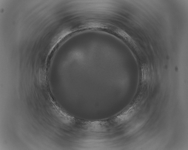 X0000066120828200603101233