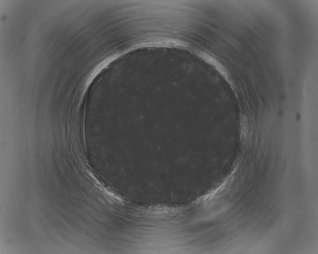 X0000066120829200603101233