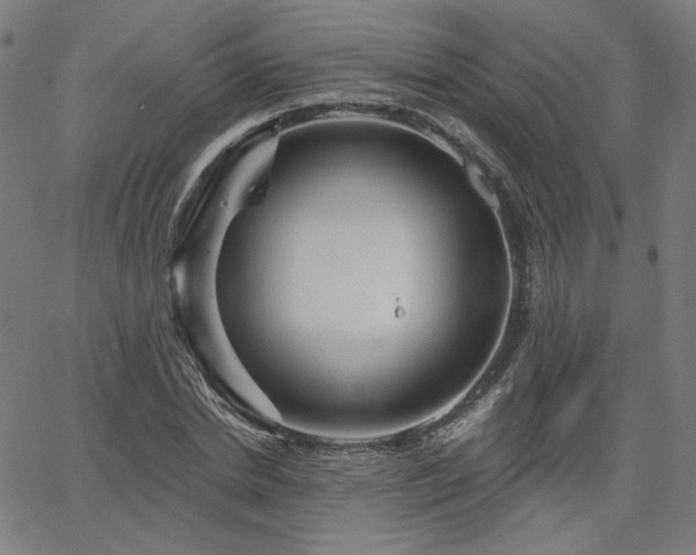 X0000066120830200603101233