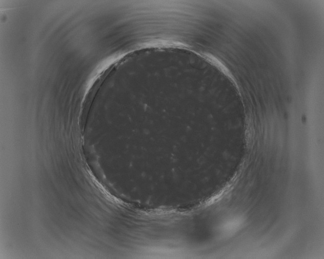 X0000066120831200603101233