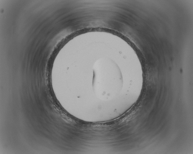 X0000066120832200603101233