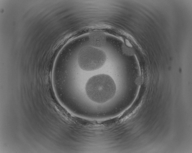 X0000066120833200603101233