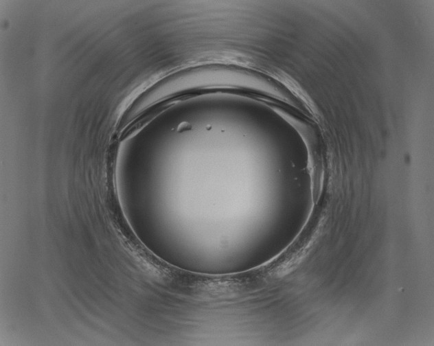 X0000066120834200603101233