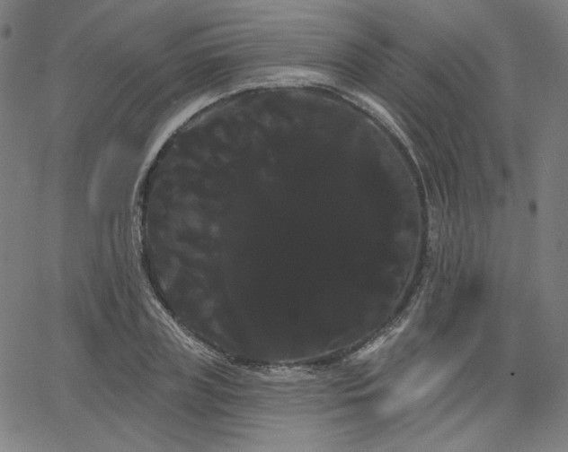 X0000066120835200603101233