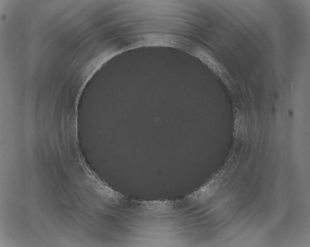 X0000066120836200603101233