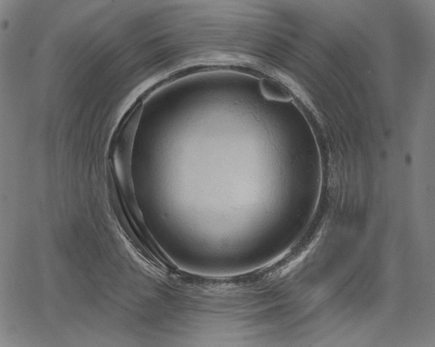 X0000066120837200603101233