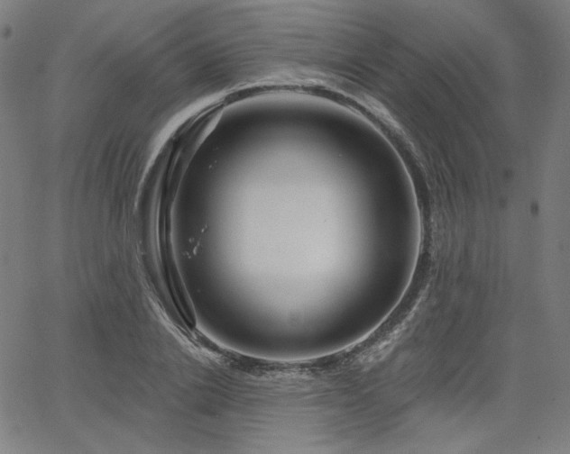 X0000066120838200603101233