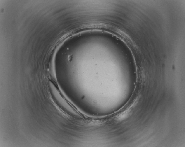 X0000066120841200603101233