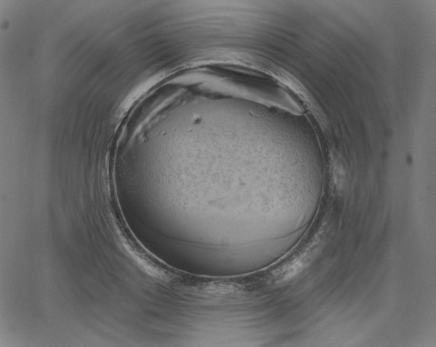 X0000066120842200603101233