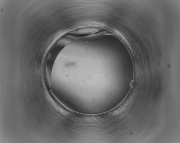 X0000066120843200603101233