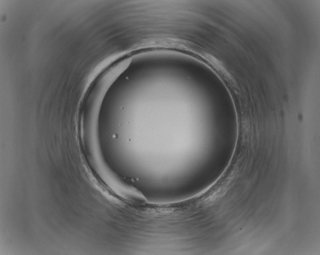 X0000066120846200603101233