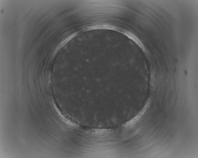 X0000066120849200603101234