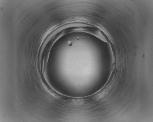 X0000066120850200603101234