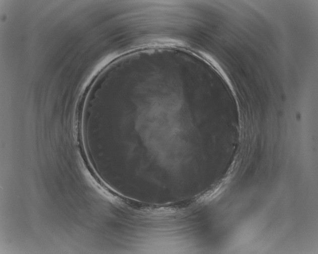 X0000066120851200603101234