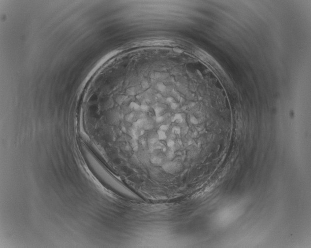 X0000066120852200603101234