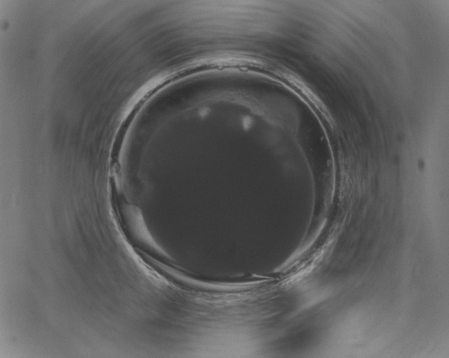 X0000066120853200603101234