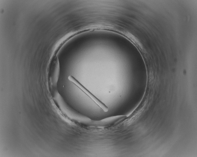 X0000066120854200603101234