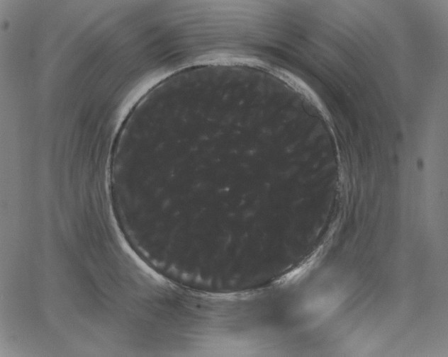 X0000066120855200603101234