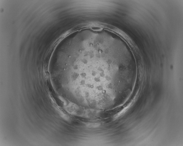 X0000066120857200603101234