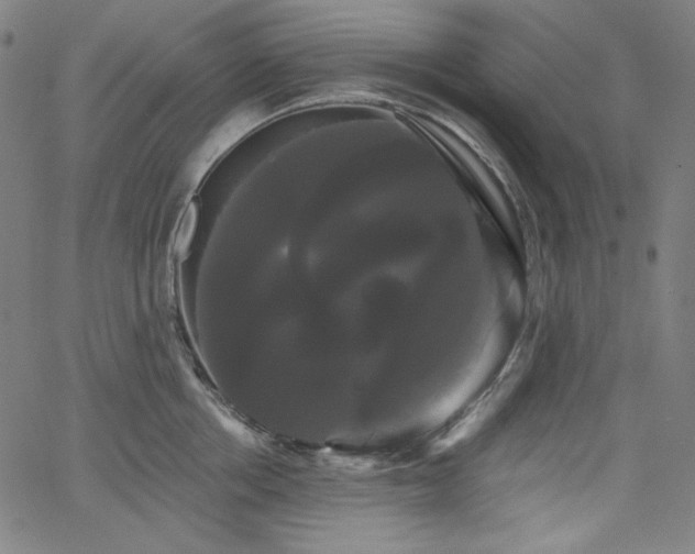 X0000066120858200603101234