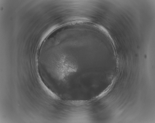 X0000066120859200603101234