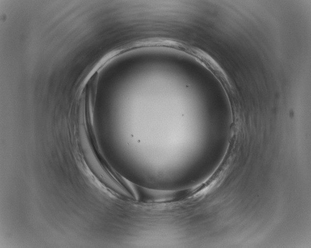 X0000066120860200603101234