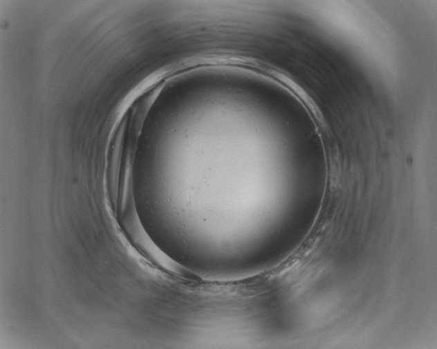 X0000066120861200603101234