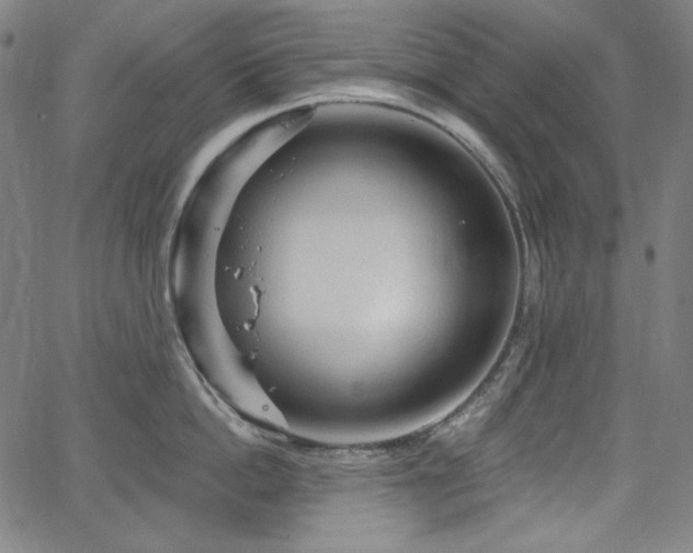 X0000066120862200603101234