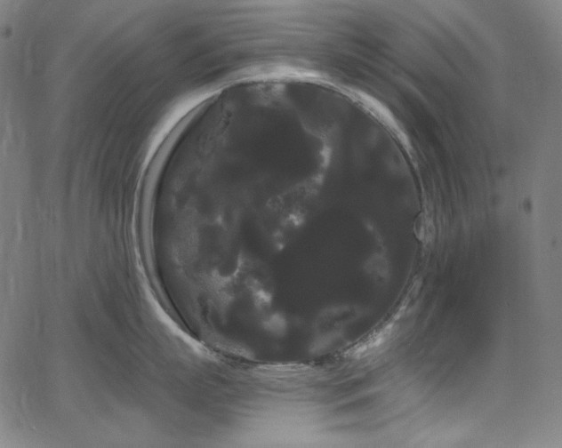 X0000066120863200603101234