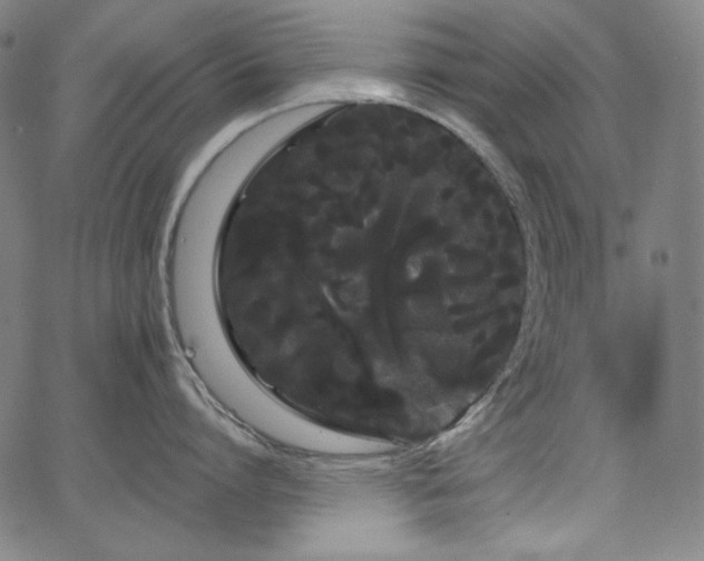 X0000066120864200603101234