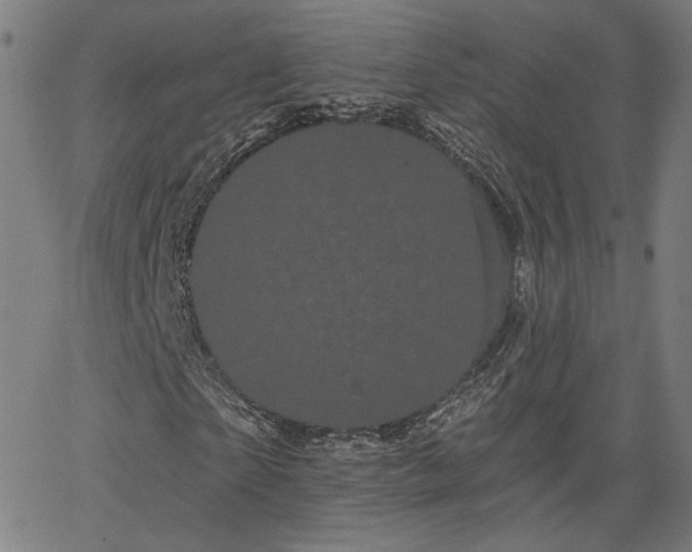 X0000066120865200603101233