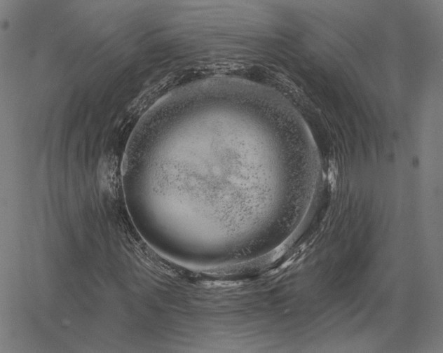 X0000066120867200603101233