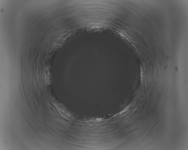 X0000066120868200603101233