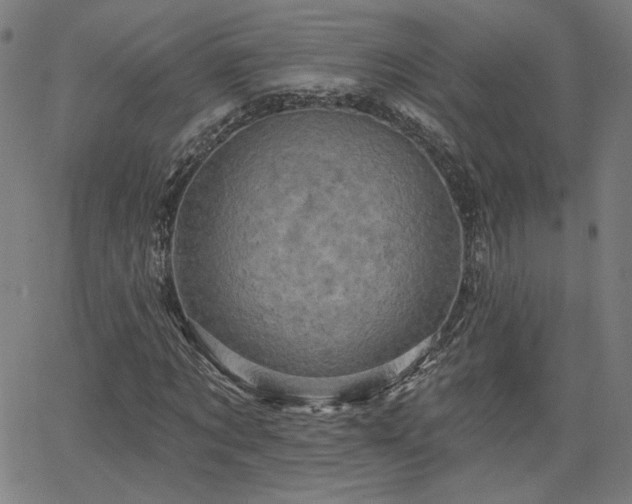 X0000066120869200603101233