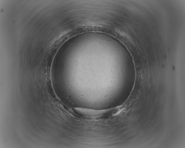 X0000066120870200603101233