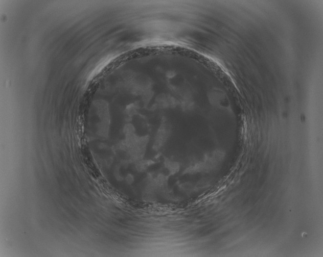 X0000066120871200603101233