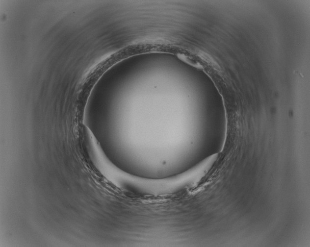 X0000066120872200603101233