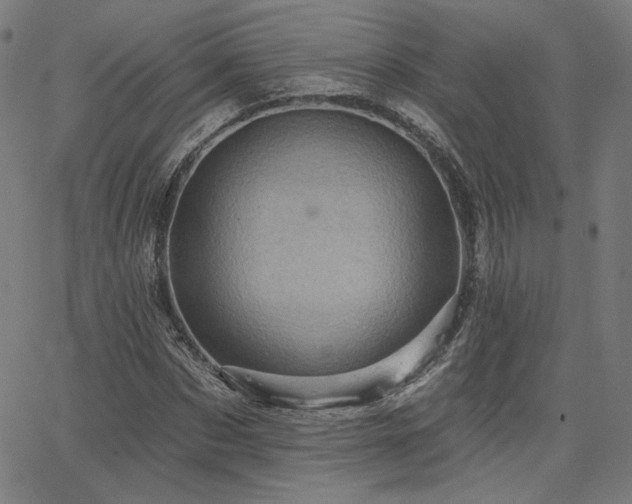 X0000066120873200603101233