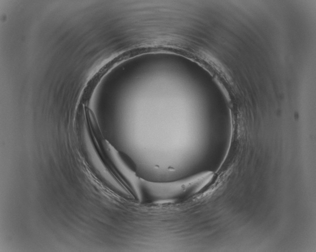 X0000066120876200603101233