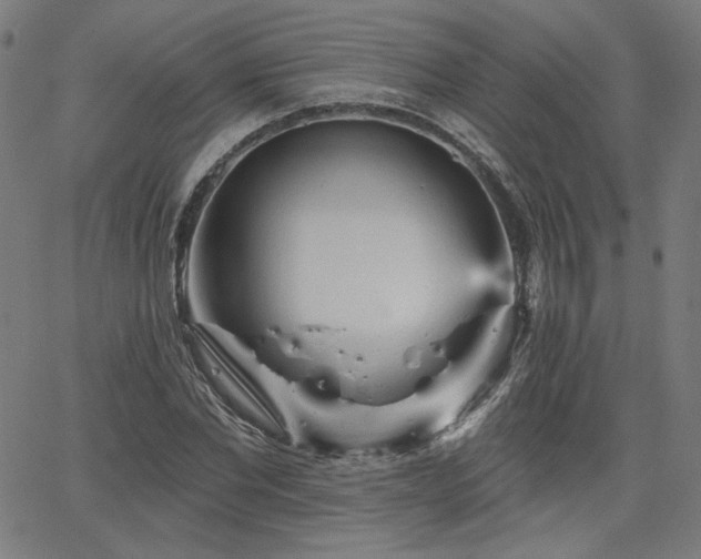 X0000066120877200603101233