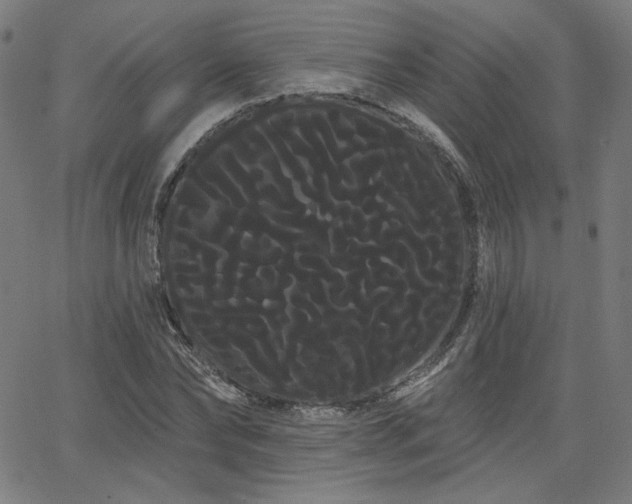 X0000066120878200603101233