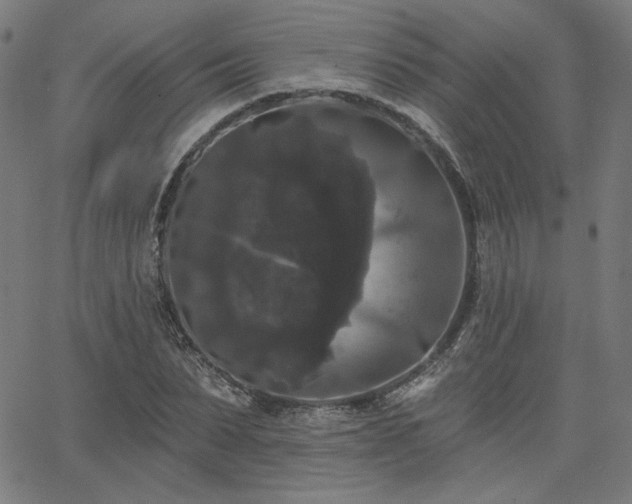 X0000066120879200603101233