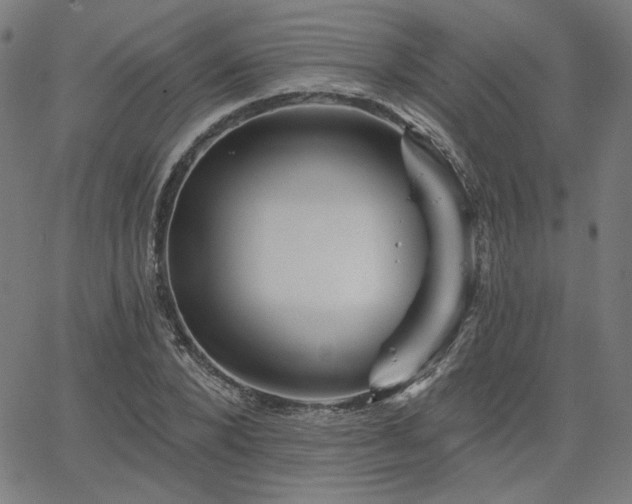 X0000066120880200603101233