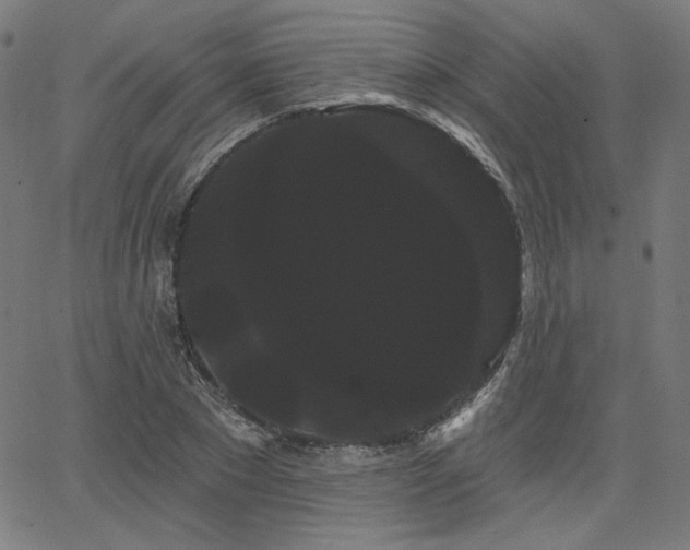 X0000066120881200603101233