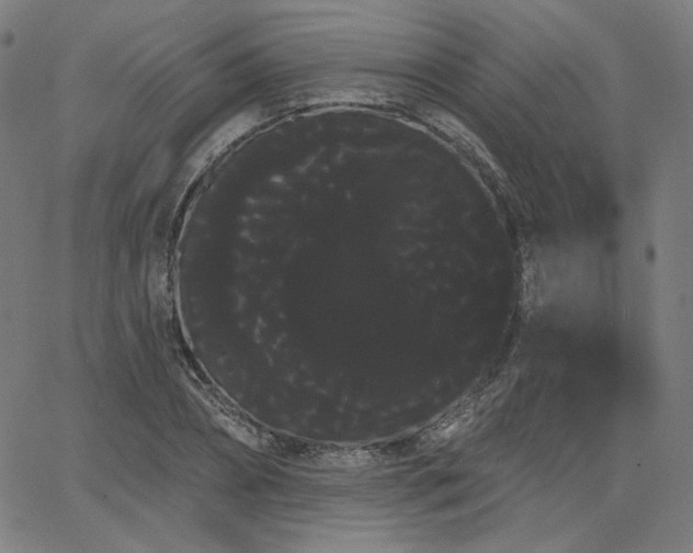 X0000066120882200603101233