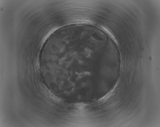 X0000066120883200603101233